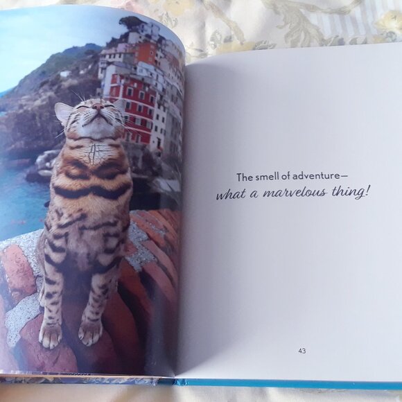 Travels of Suki the Adventure Cat - Picture 7 of 7